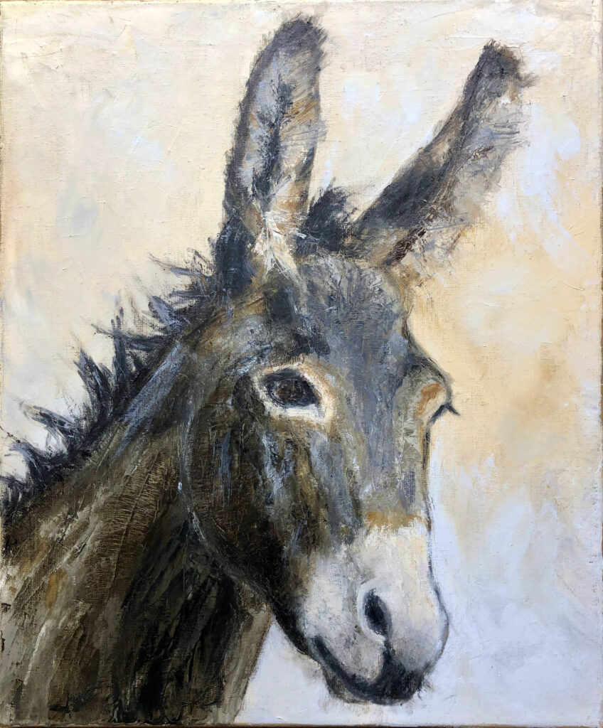 DONKEY - oil on canvas - 50x60 cm