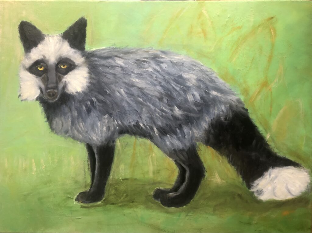 FOXY - oil on canvas - 50 x 70 cm