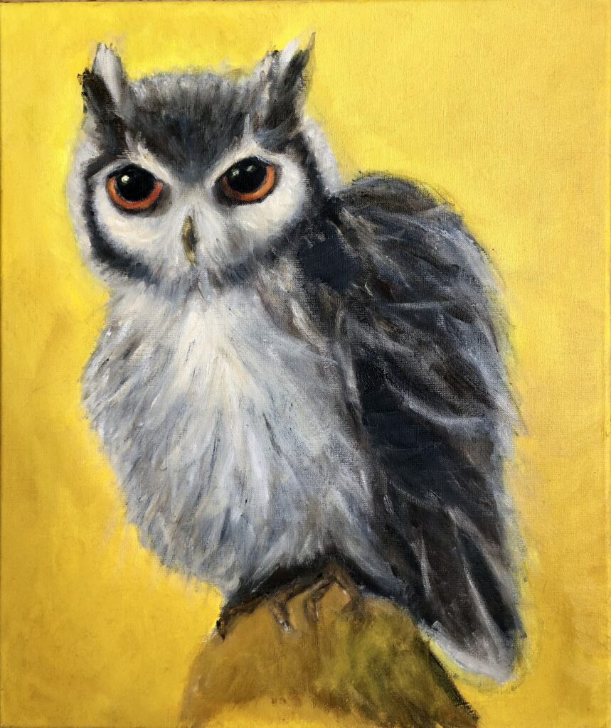 OWL II - oil on canvas - 50 x 60 cm
